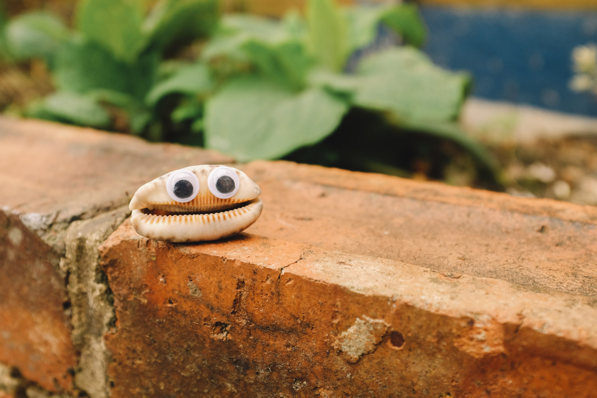 Mishell in the Garden